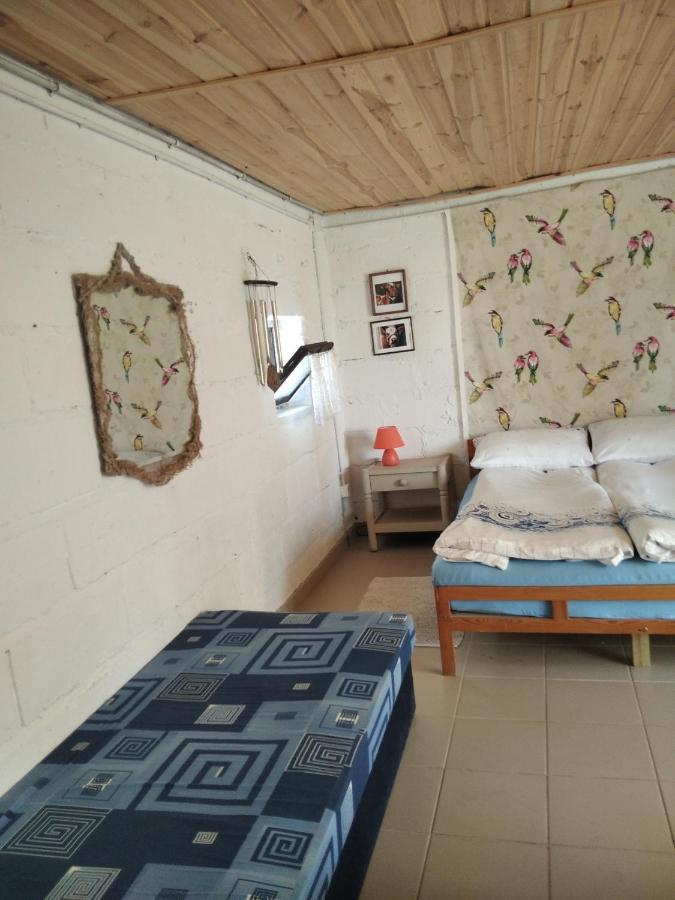 Agrocamp Villa Pawlowka  Luaran gambar